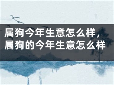 属狗今年生意怎么样，属狗的今年生意怎么样