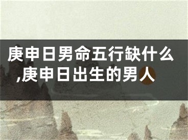 庚申日男命五行缺什么,庚申日出生的男人