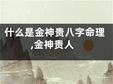 什么是金神贵八字命理,金神贵人