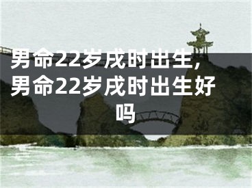 男命22岁戌时出生,男命22岁戌时出生好吗