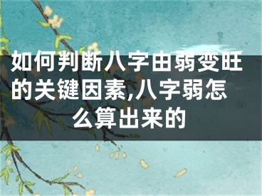 如何判断八字由弱变旺的关键因素,八字弱怎么算出来的