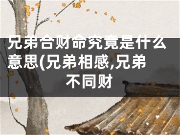 兄弟合财命究竟是什么意思(兄弟相感,兄弟不同财