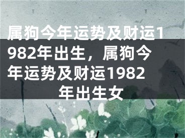 属狗今年运势及财运1982年出生,属狗今年运势及财运1982年出生女