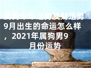 属狗今年运势及财运男9月出生的命运怎么样，2021年属狗男9月份运势