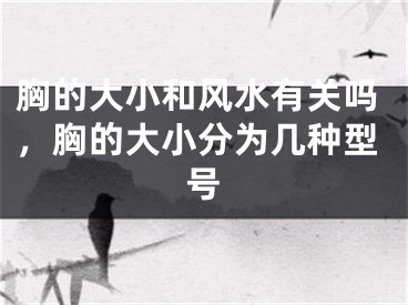 胸的大小和风水有关吗，胸的大小分为几种型号