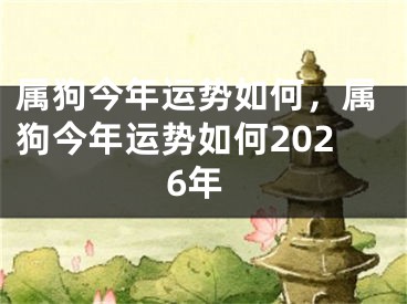 属狗今年运势如何，属狗今年运势如何2026年