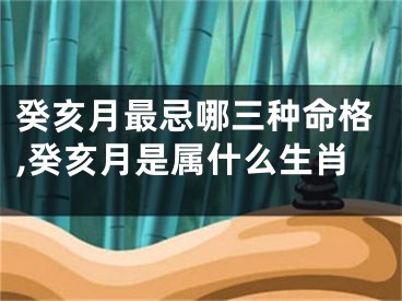 癸亥月最忌哪三种命格,癸亥月是属什么生肖