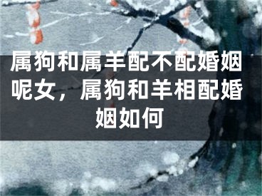 属狗和属羊配不配婚姻呢女，属狗和羊相配婚姻如何