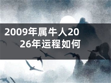 2009年属牛人2026年运程如何