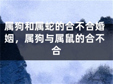 属狗和属蛇的合不合婚姻，属狗与属鼠的合不合
