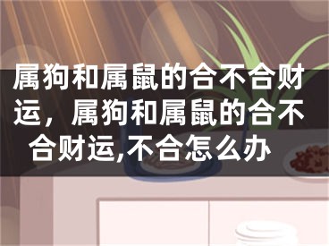 属狗和属鼠的合不合财运，属狗和属鼠的合不合财运,不合怎么办