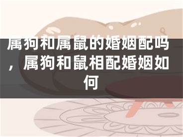 属狗和属鼠的婚姻配吗，属狗和鼠相配婚姻如何