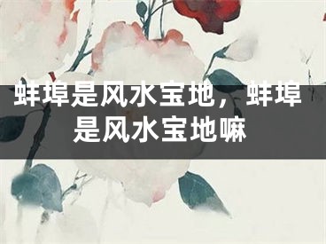 蚌埠是风水宝地，蚌埠是风水宝地嘛
