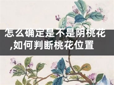 怎么确定是不是阴桃花,如何判断桃花位置