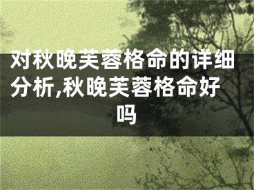 对秋晚芙蓉格命的详细分析,秋晚芙蓉格命好吗