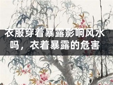 衣服穿着暴露影响风水吗，衣着暴露的危害