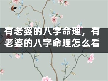 有老婆的八字命理，有老婆的八字命理怎么看