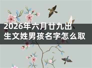 2026年六月廿九出生文姓男孩名字怎么取