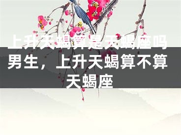 上升天蝎算是天蝎座吗男生，上升天蝎算不算天蝎座