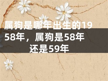属狗是哪年出生的1958年，属狗是58年还是59年