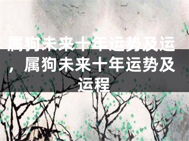 属狗未来十年运势及运，属狗未来十年运势及运程