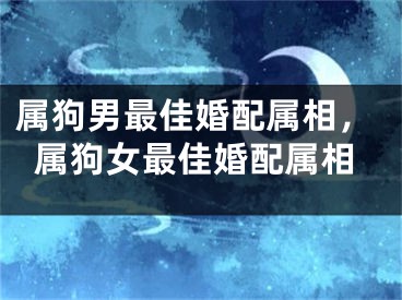 属狗男最佳婚配属相，属狗女最佳婚配属相