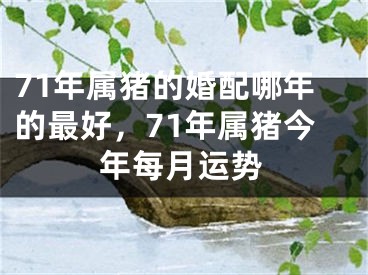 71年属猪的婚配哪年的最好,71年属猪今年每月运势