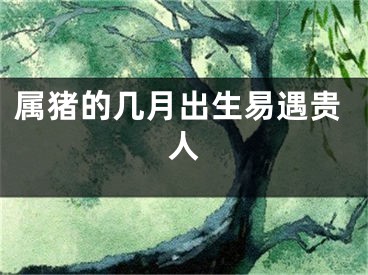 属猪的几月出生易遇贵人