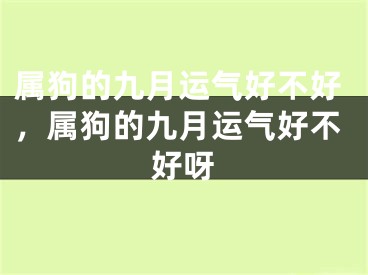 属狗的九月运气好不好，属狗的九月运气好不好呀
