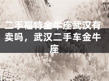 二手福特金牛座武汉有卖吗，武汉二手车金牛座