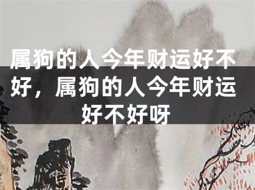 属狗的人今年财运好不好，属狗的人今年财运好不好呀