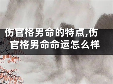 伤官格男命的特点,伤官格男命命运怎么样
