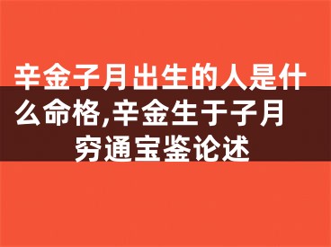 辛金子月出生的人是什么命格,辛金生于子月穷通宝鉴论述