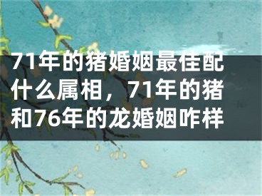 71年的猪婚姻最佳配什么属相，71年的猪和76年的龙婚姻咋样