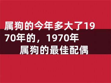 属狗的今年多大了1970年的，1970年属狗的最佳配偶