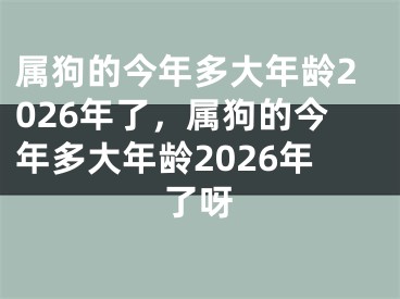 属狗的今年多大年龄2026年了，属狗的今年多大年龄2026年了呀