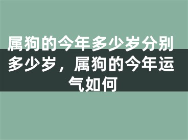 属狗的今年多少岁分别多少岁,属狗的今年运气如何