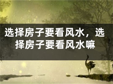 选择房子要看风水，选择房子要看风水嘛