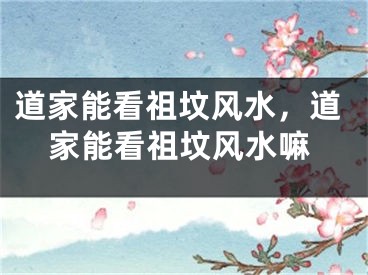 道家能看祖坟风水，道家能看祖坟风水嘛