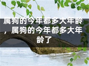 属狗的今年都多大年龄，属狗的今年都多大年龄了