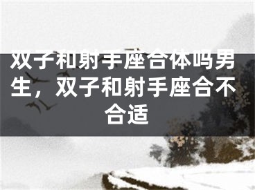 双子和射手座合体吗男生，双子和射手座合不合适