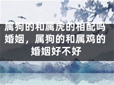 属狗的和属虎的相配吗婚姻，属狗的和属鸡的婚姻好不好