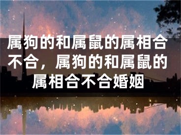 属狗的和属鼠的属相合不合，属狗的和属鼠的属相合不合婚姻