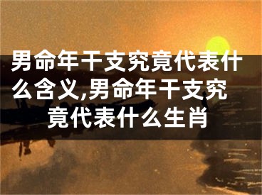 男命年干支究竟代表什么含义,男命年干支究竟代表什么生肖