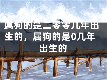 属狗的是二零零几年出生的，属狗的是0几年出生的