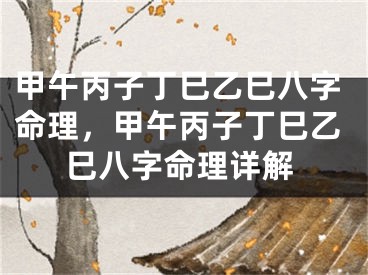 甲午丙子丁巳乙巳八字命理，甲午丙子丁巳乙巳八字命理详解