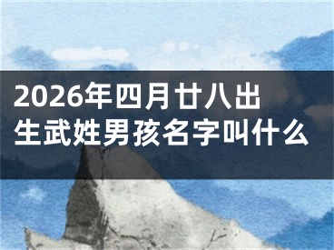 2026年四月廿八出生武姓男孩名字叫什么