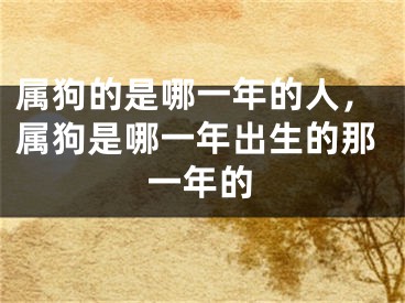 属狗的是哪一年的人，属狗是哪一年出生的那一年的