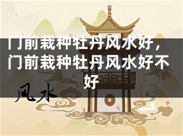 门前栽种牡丹风水好，门前栽种牡丹风水好不好