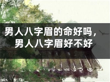 男人八字眉的命好吗，男人八字眉好不好